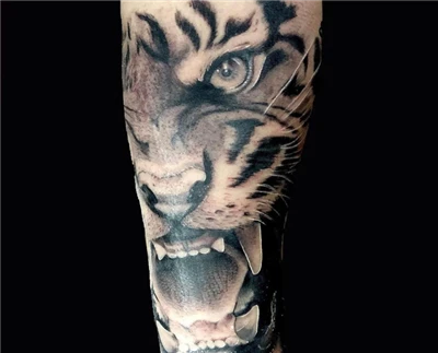 tato harimau