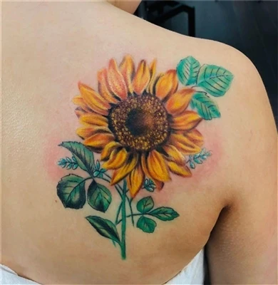 artis tato enam