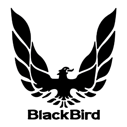 logo1